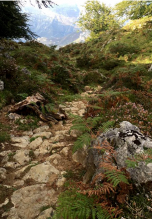 Aspecto de la calzada romana de Caoru