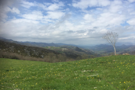 Al oeste el concejo vecino de Onis