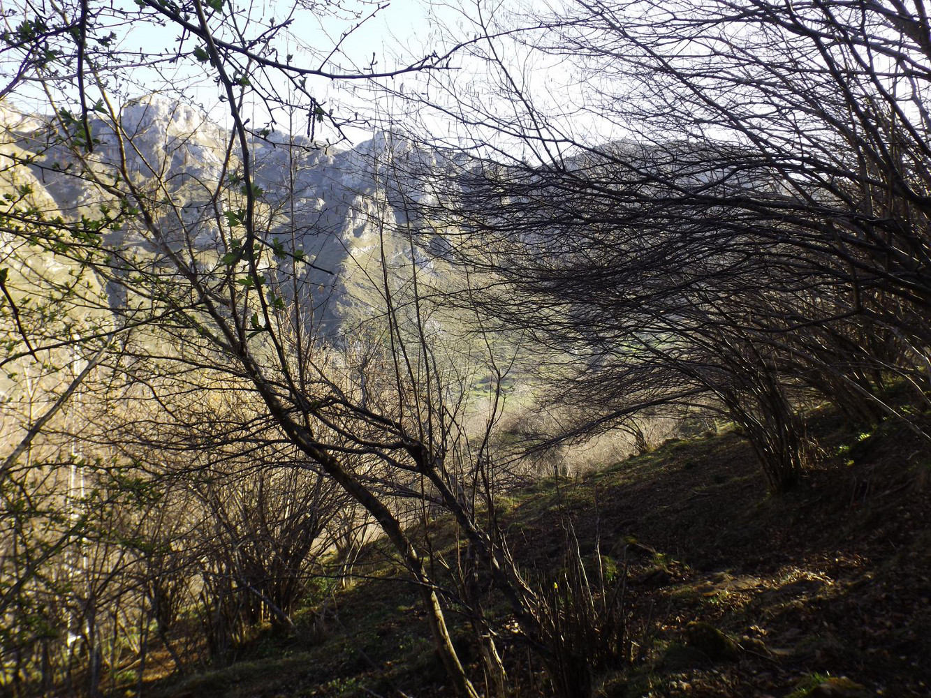 La Portiella de Llamazuga