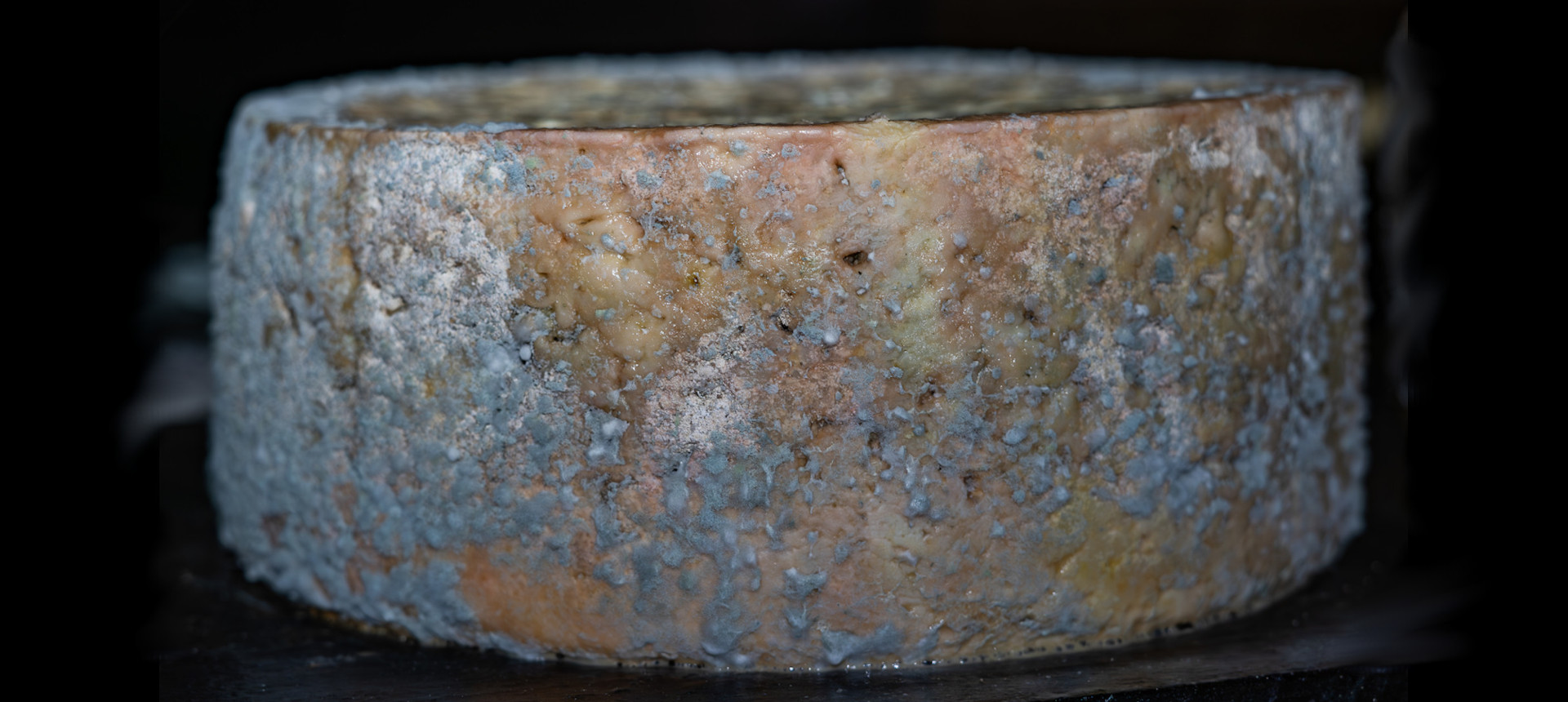 Gastronomia. El Quesu