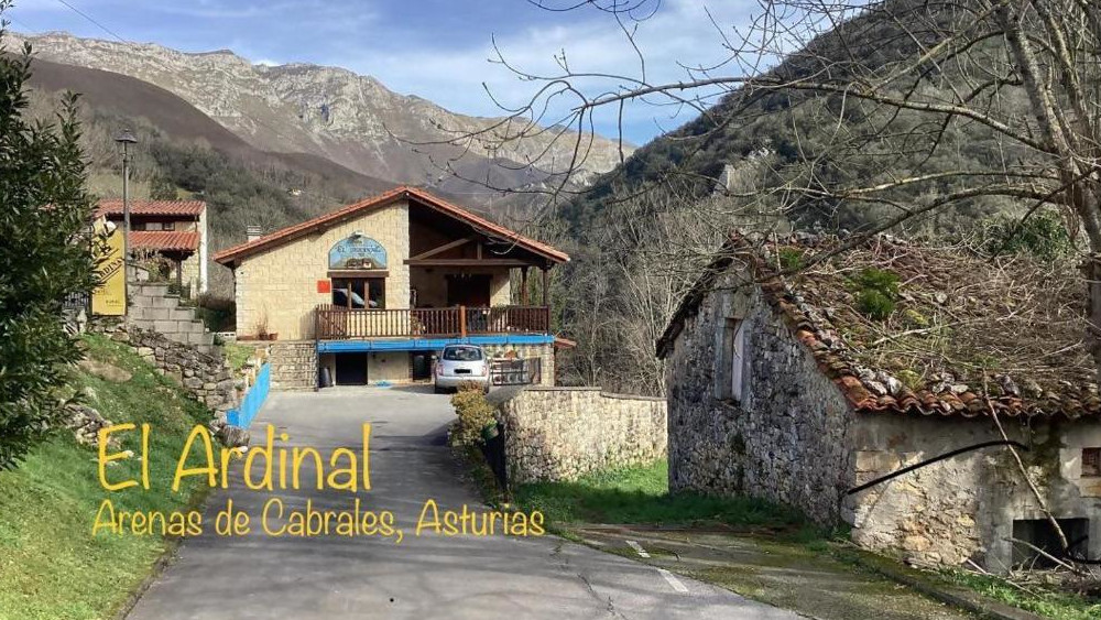 Apartamentos El Ardinal