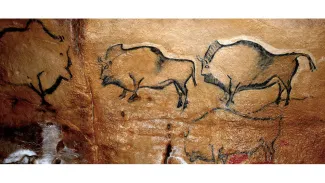 Cueva de la Covaciella